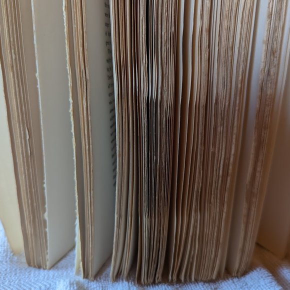 10% OFF Antique-TENNYSON His Art and Relation to Modern Life-Stepford A. Brooke - Picture 10 of 12